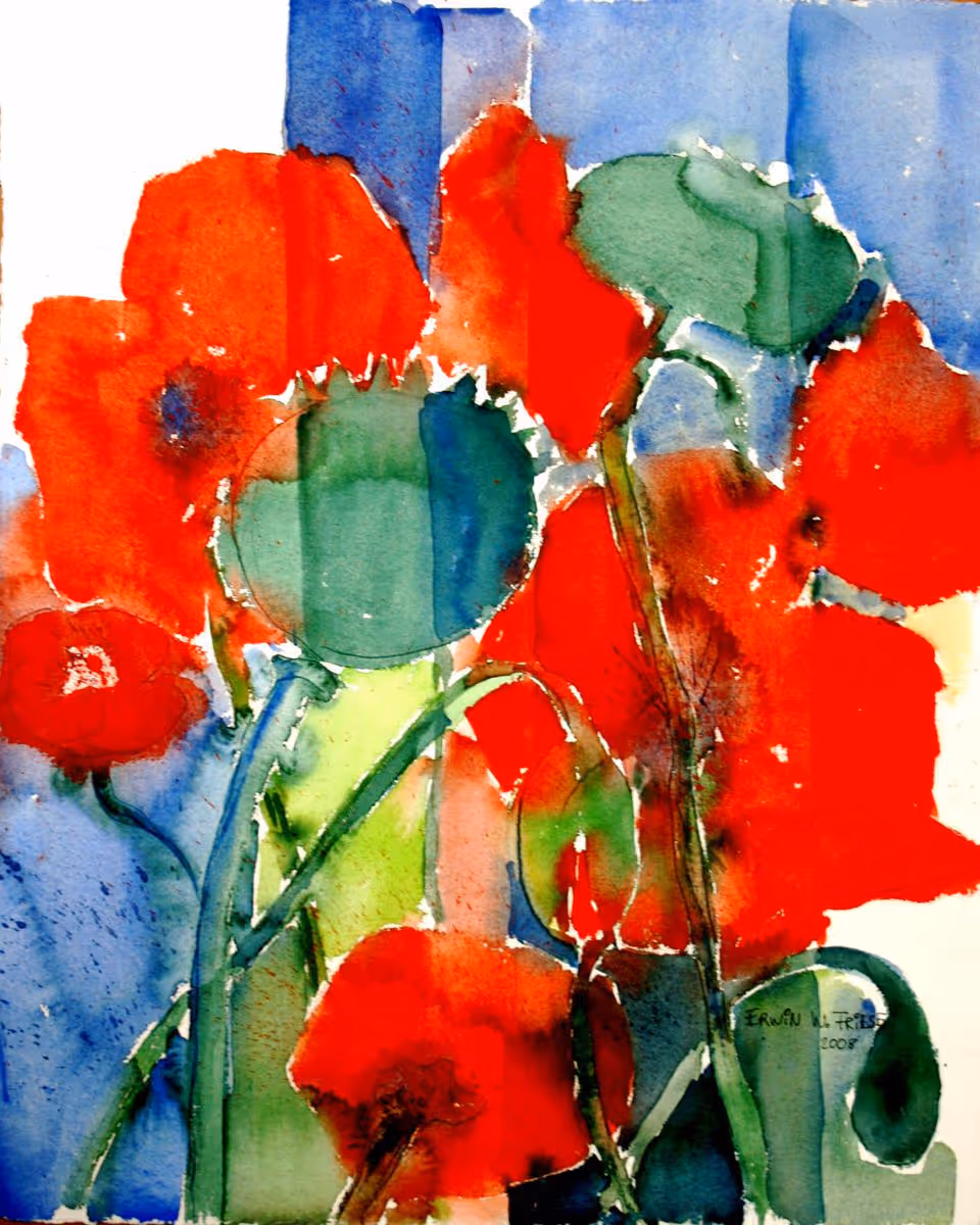 RoterMohn