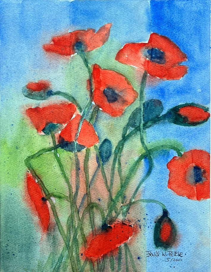 MohnBlüten