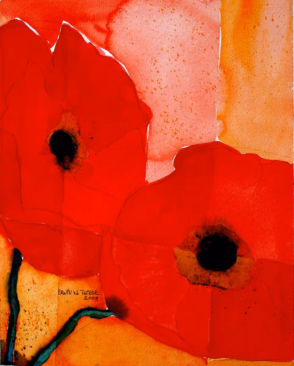 Blumen ZweiMohnBlüten