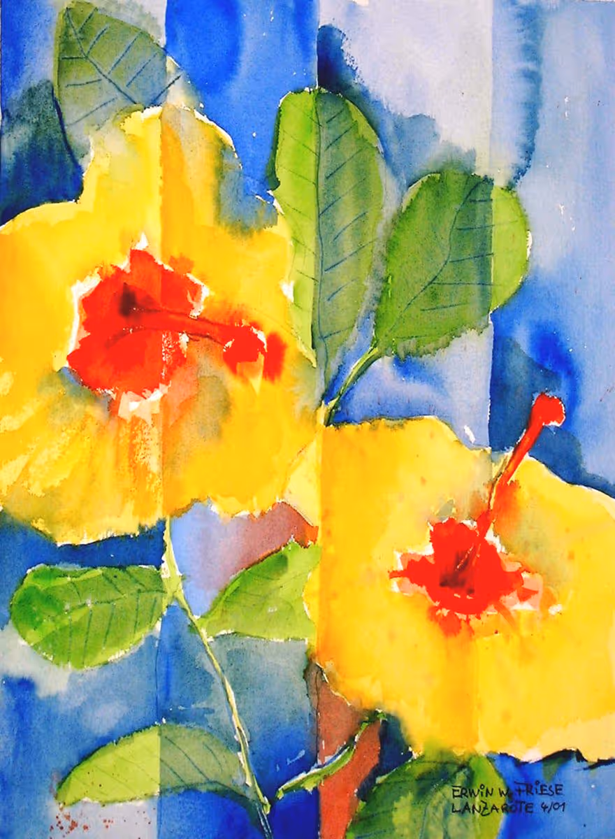 HibiskusGelb