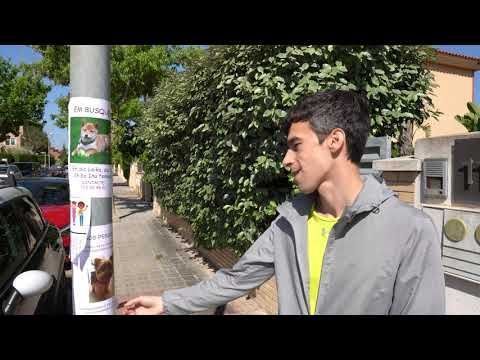 El millor amic de l’home