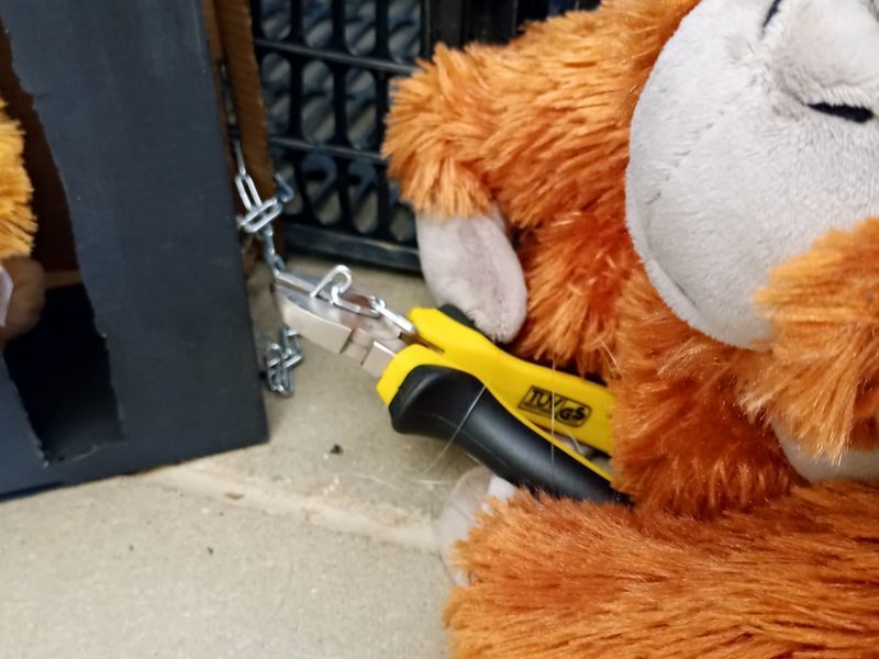 La meva història a la selva 3