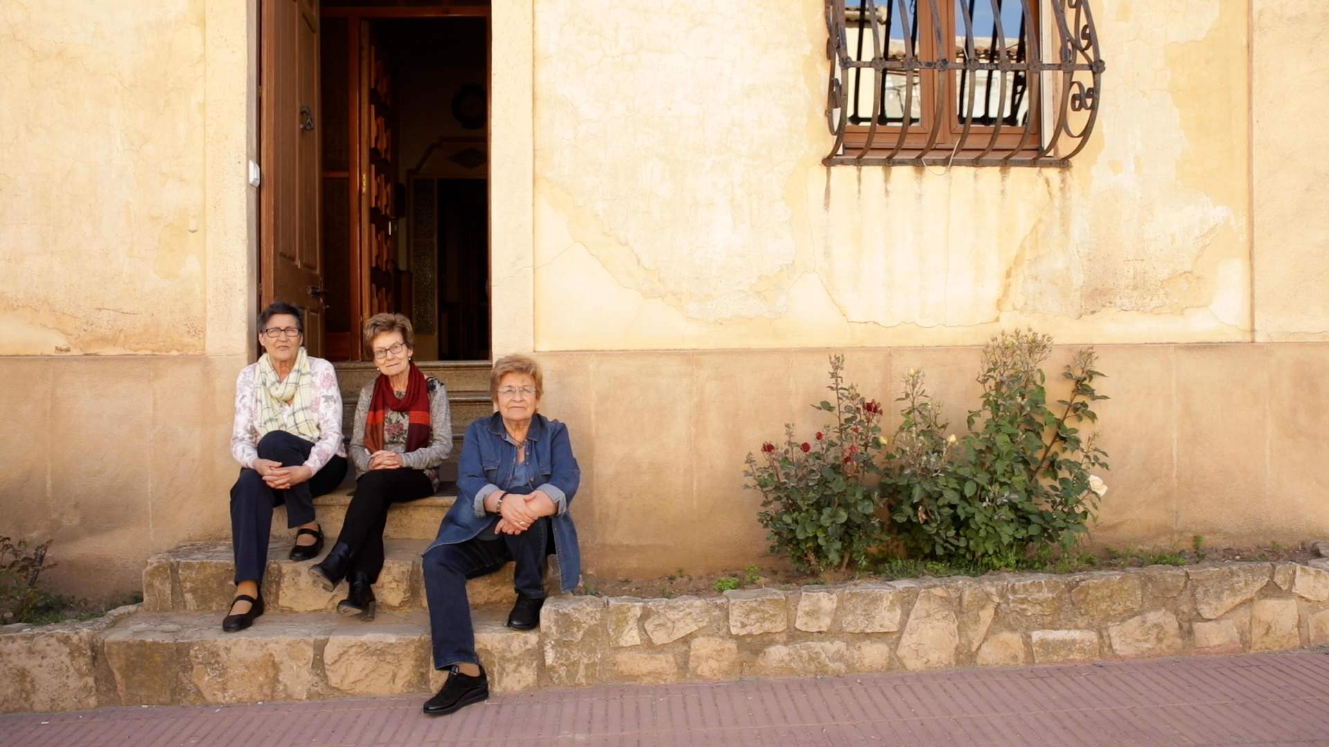 Lis aspergis escatxiguin