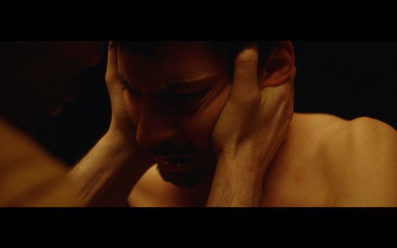 El tren de l'alegria 2