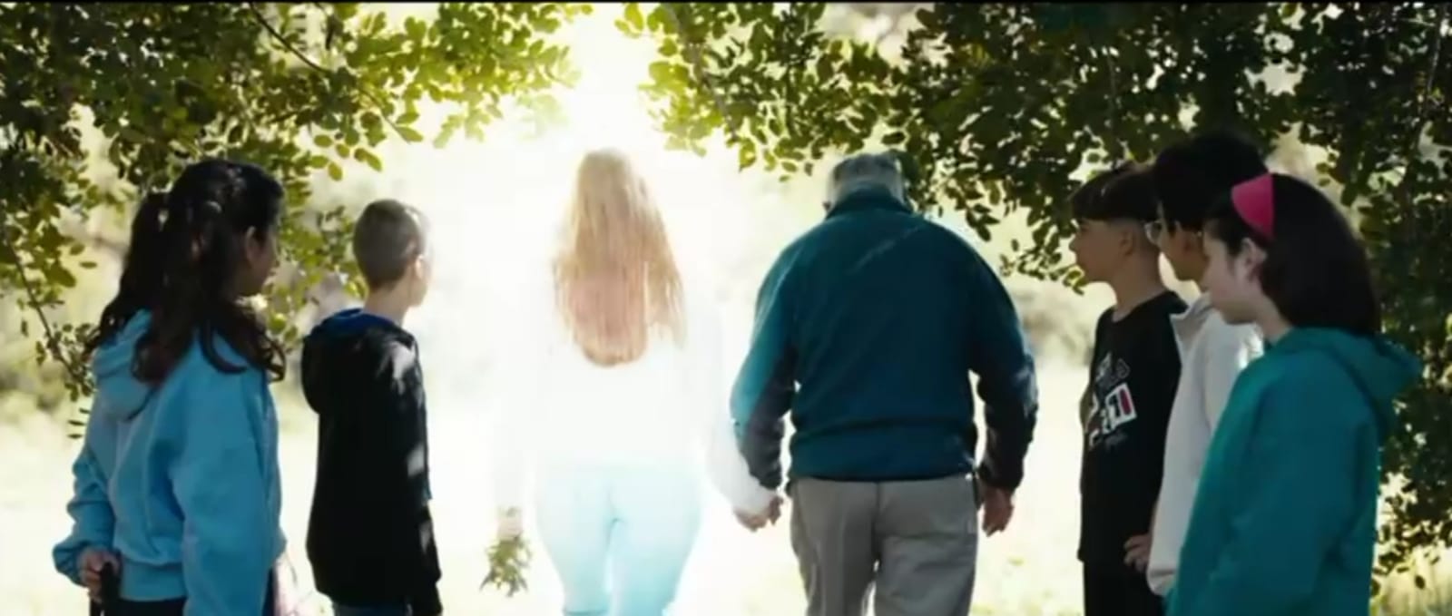 El bosc dels records