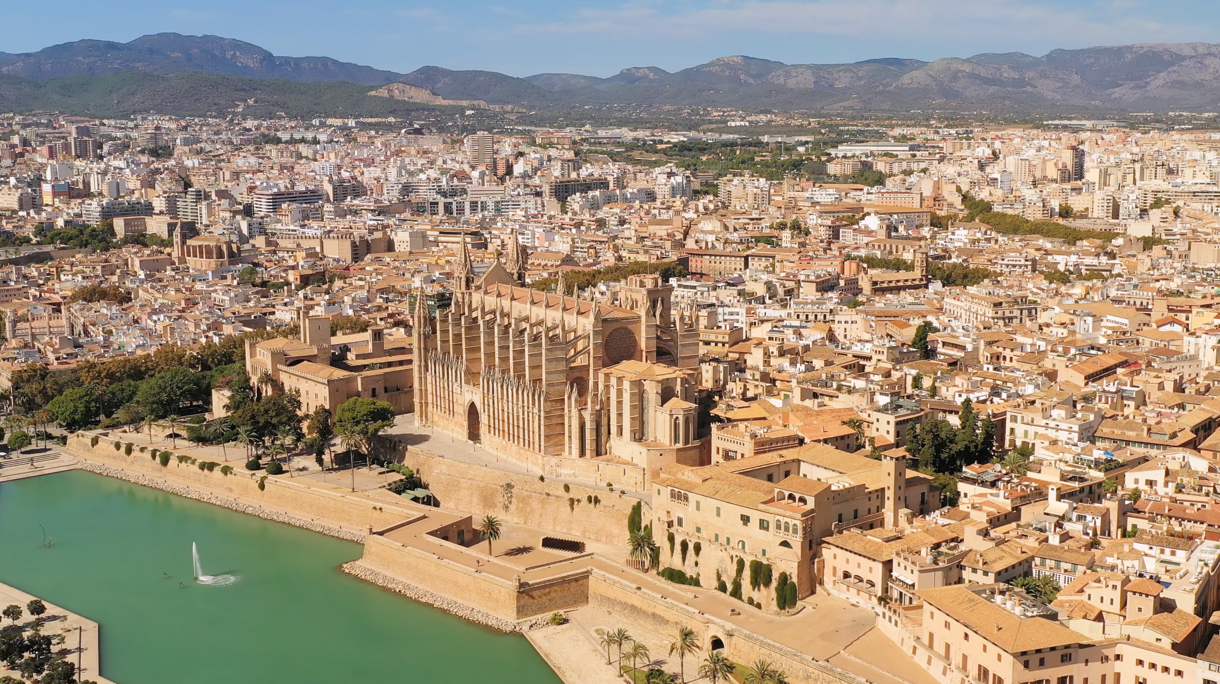 FENT VOLTES PER PALMA