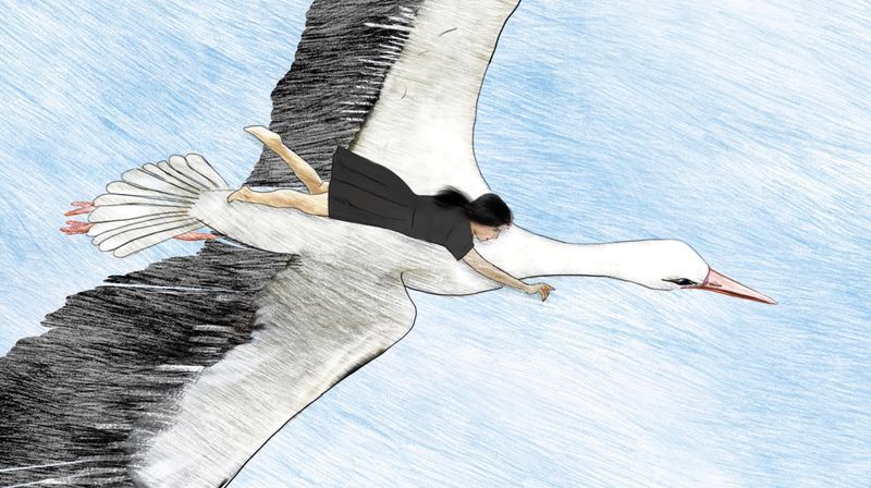 Mitja Lluna i l'estel 2