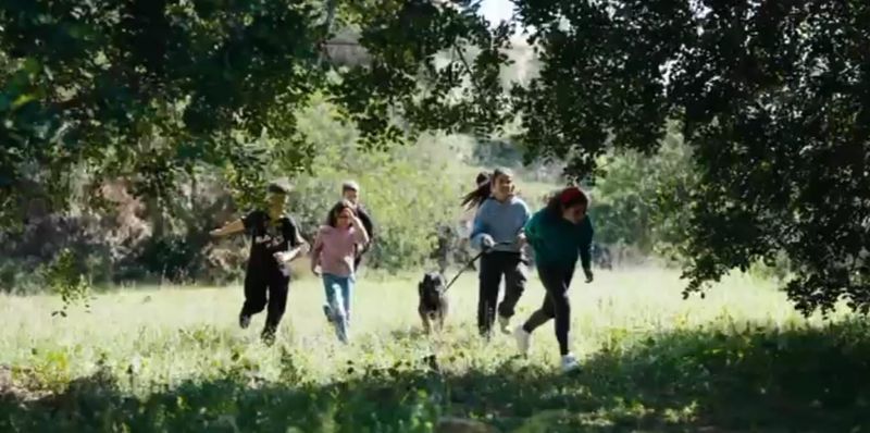 El bosc dels records 3