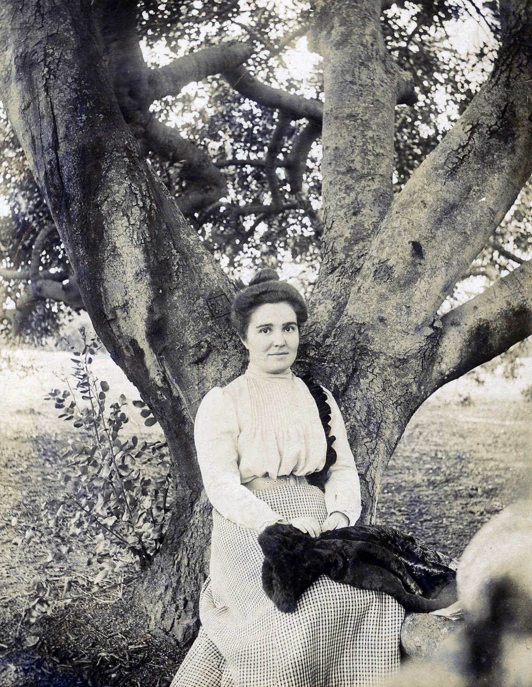 Rosa Sensat. Per una escola plena de vida