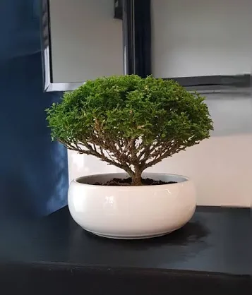 Oxygen plant indoor