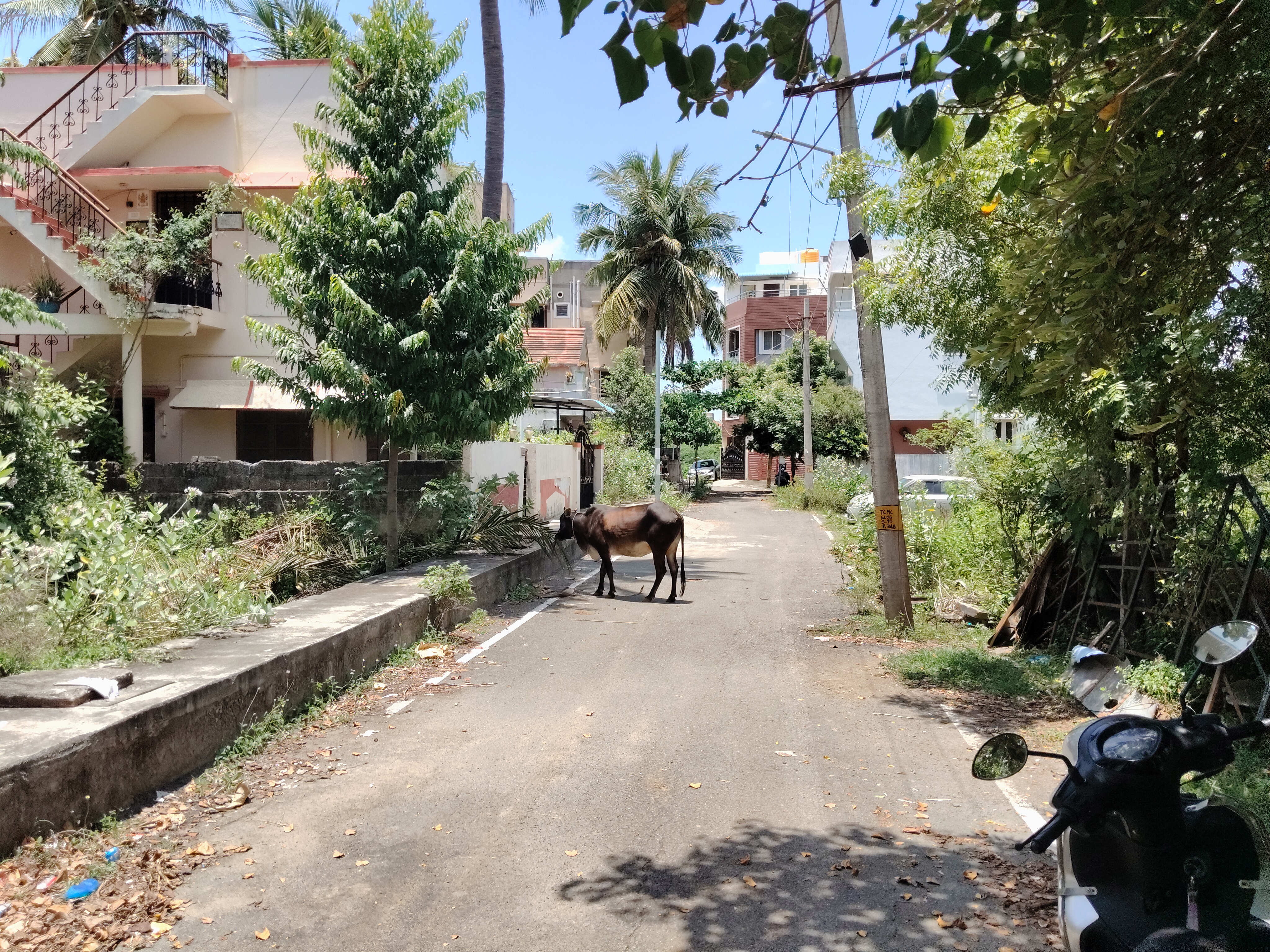 plot-for-sale-in-tambaram-sanitorium