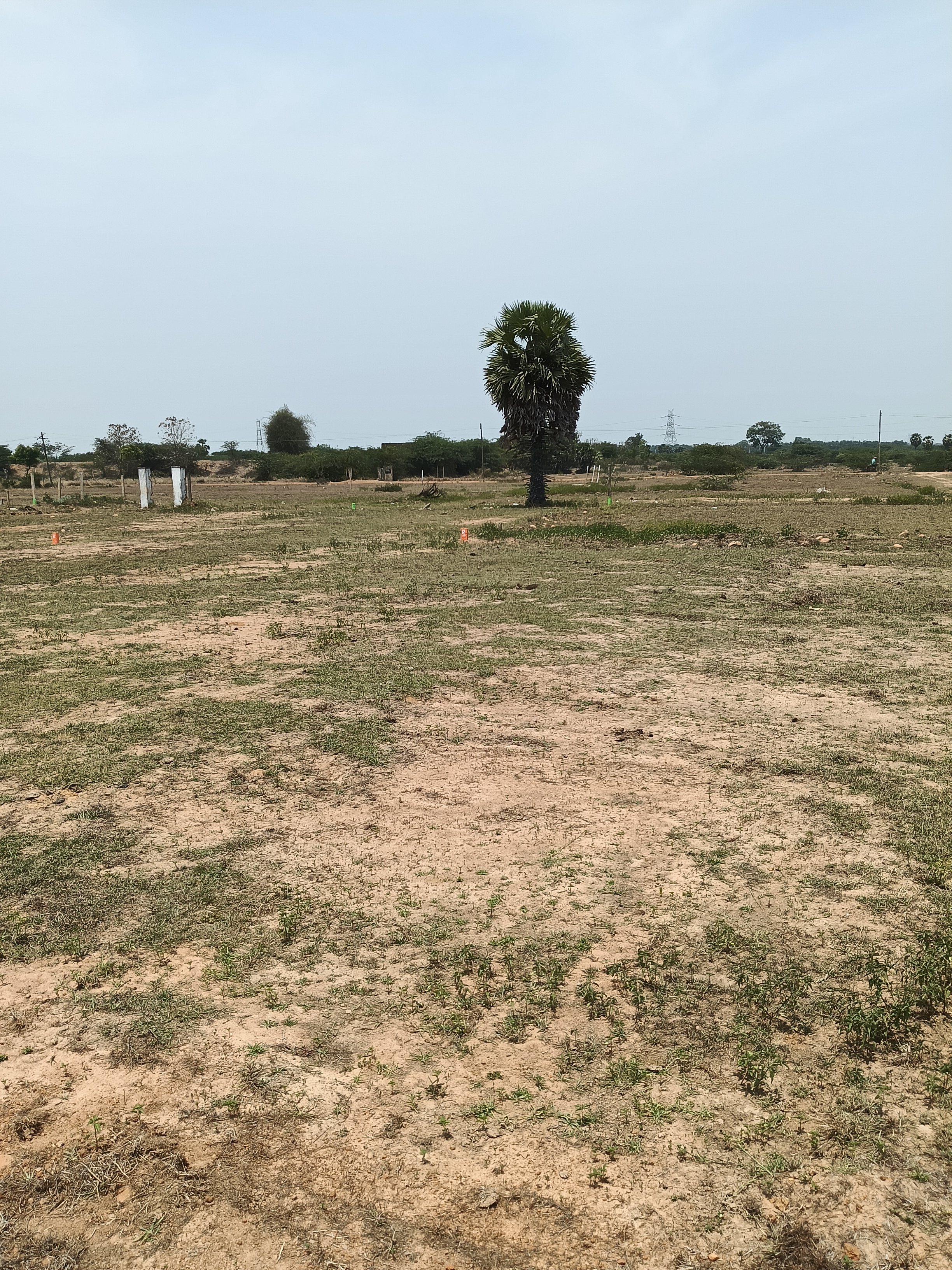 Plot in minjur
