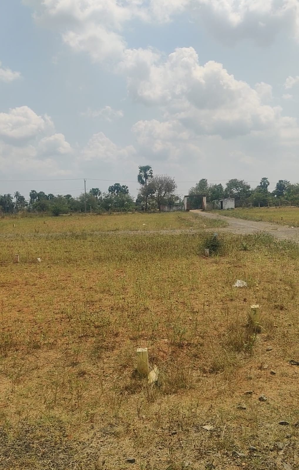 Low budget plots for sale in Acharapakkam