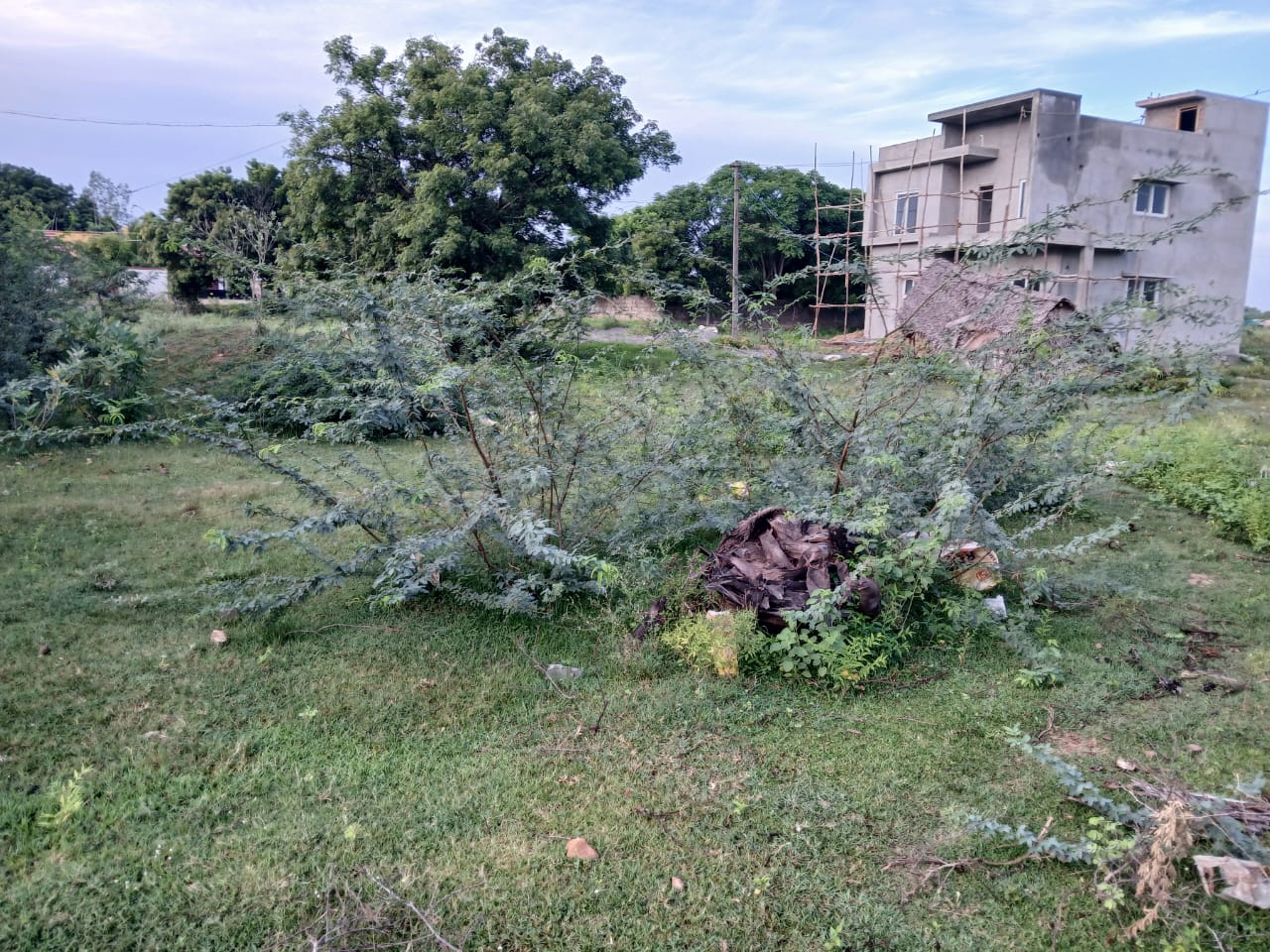 Ready to build plots for sale in Padappai