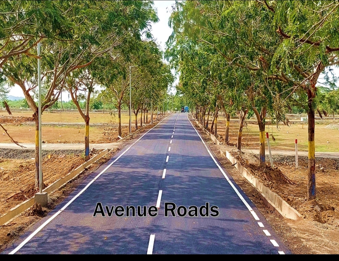 Plot in chengalpattu