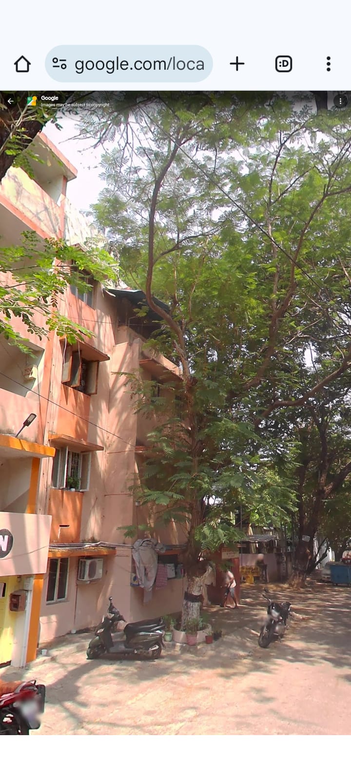 flat-for-rent-in-nandanam
