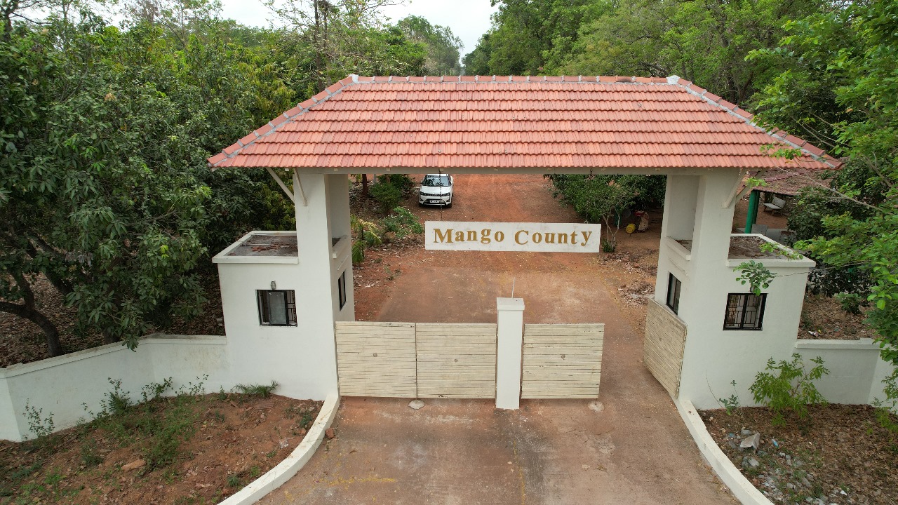 Plot in red hills