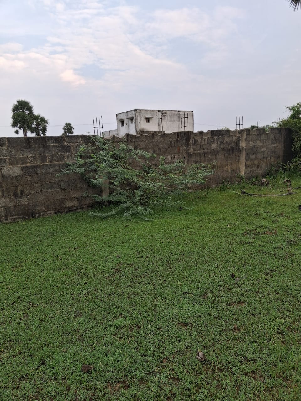 Project image 2