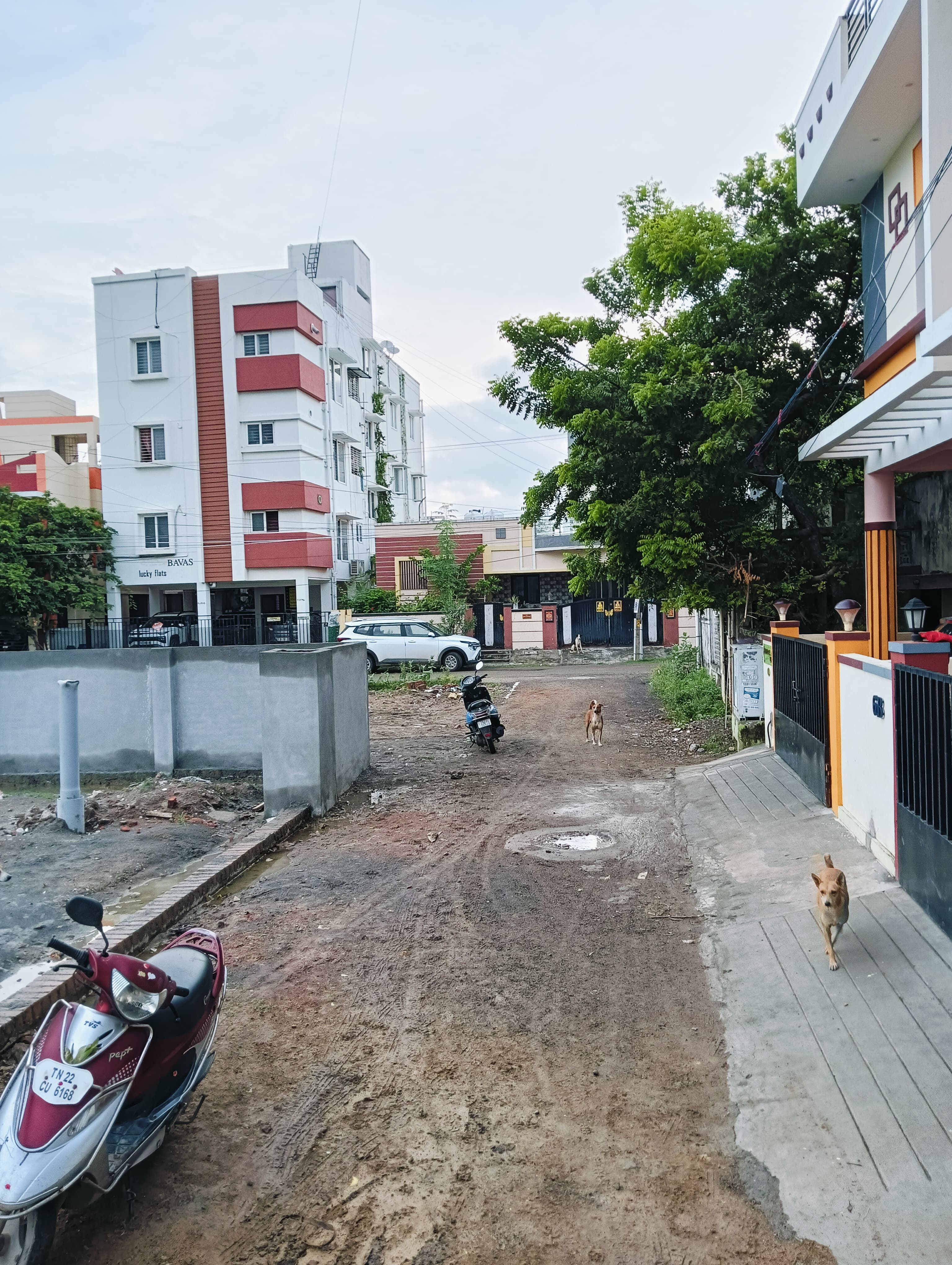 plot-for-sale-in-chrompet