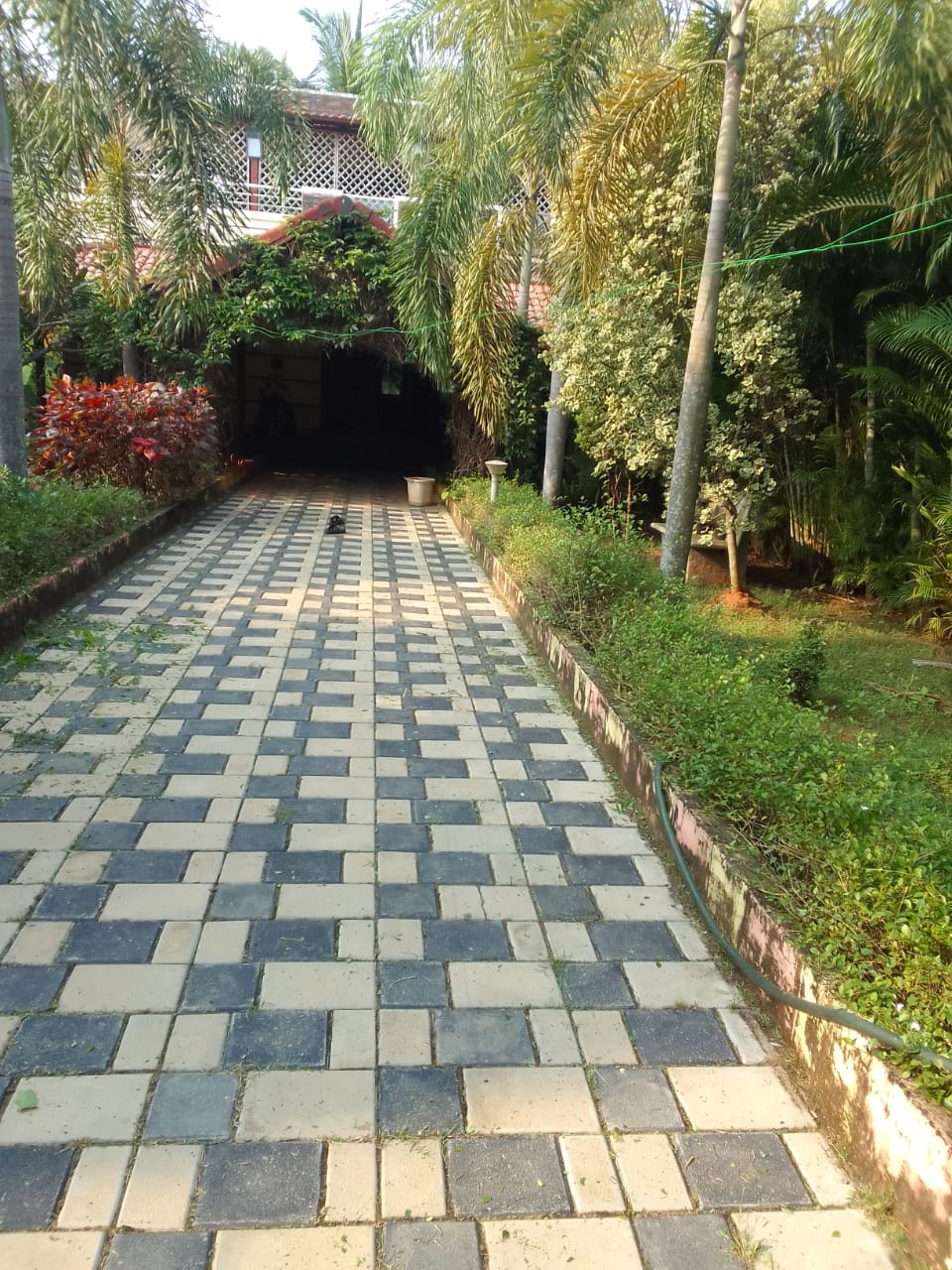 Project image 1