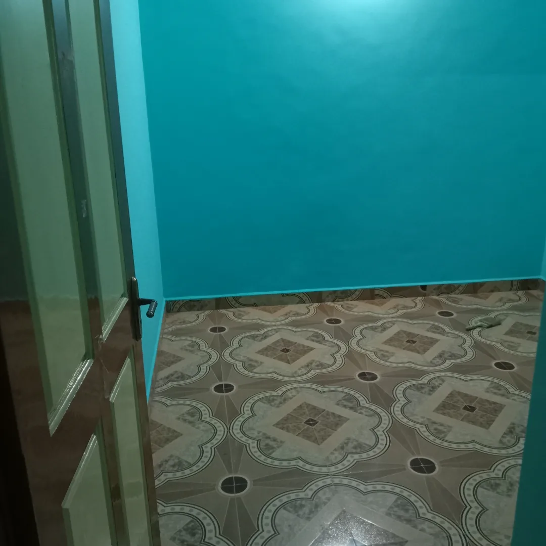 Project image 1