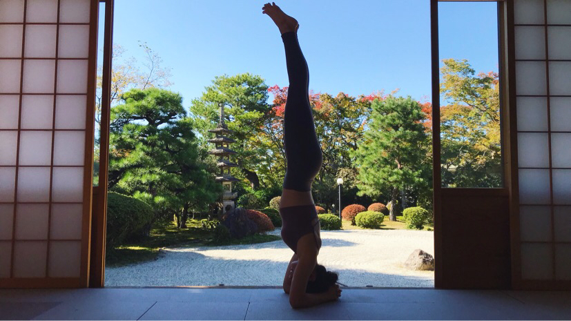Yogidream