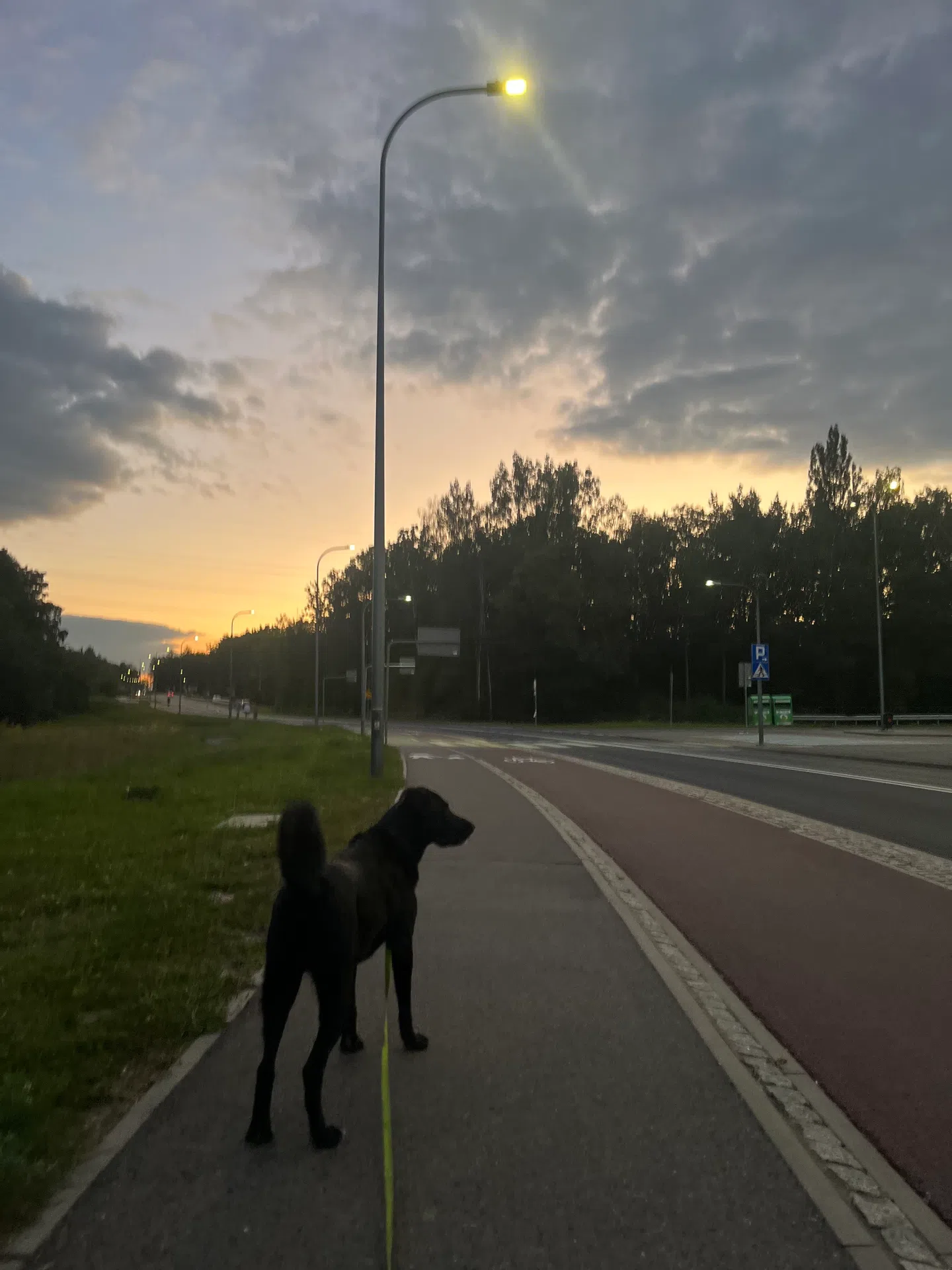 magda