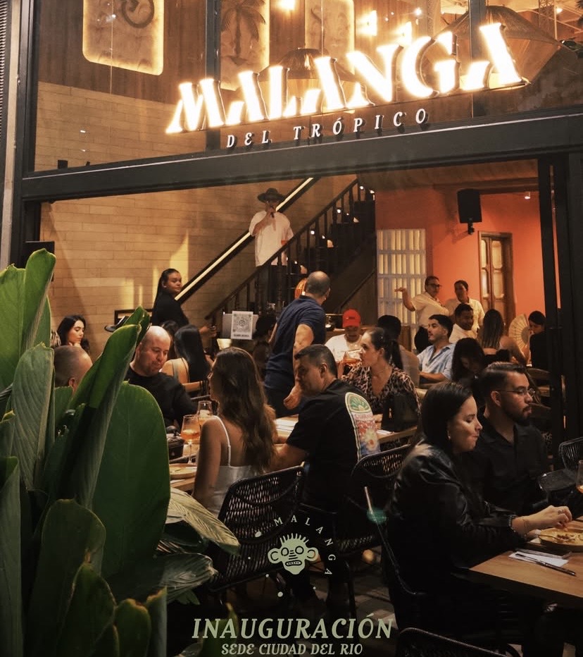 Malanga del trópico