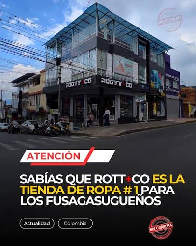 ROOTT+CO