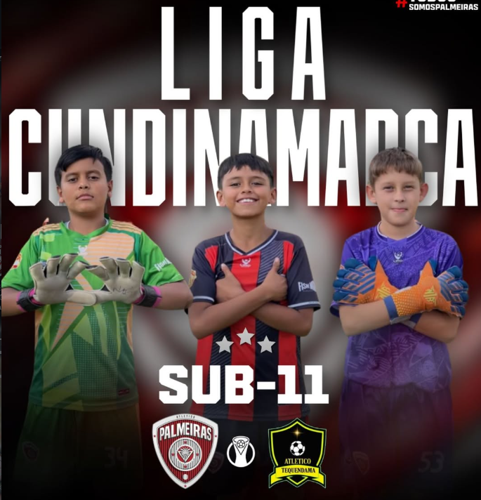 Atlético palmeira Fc – foto 1