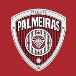 Atlético palmeira Fc