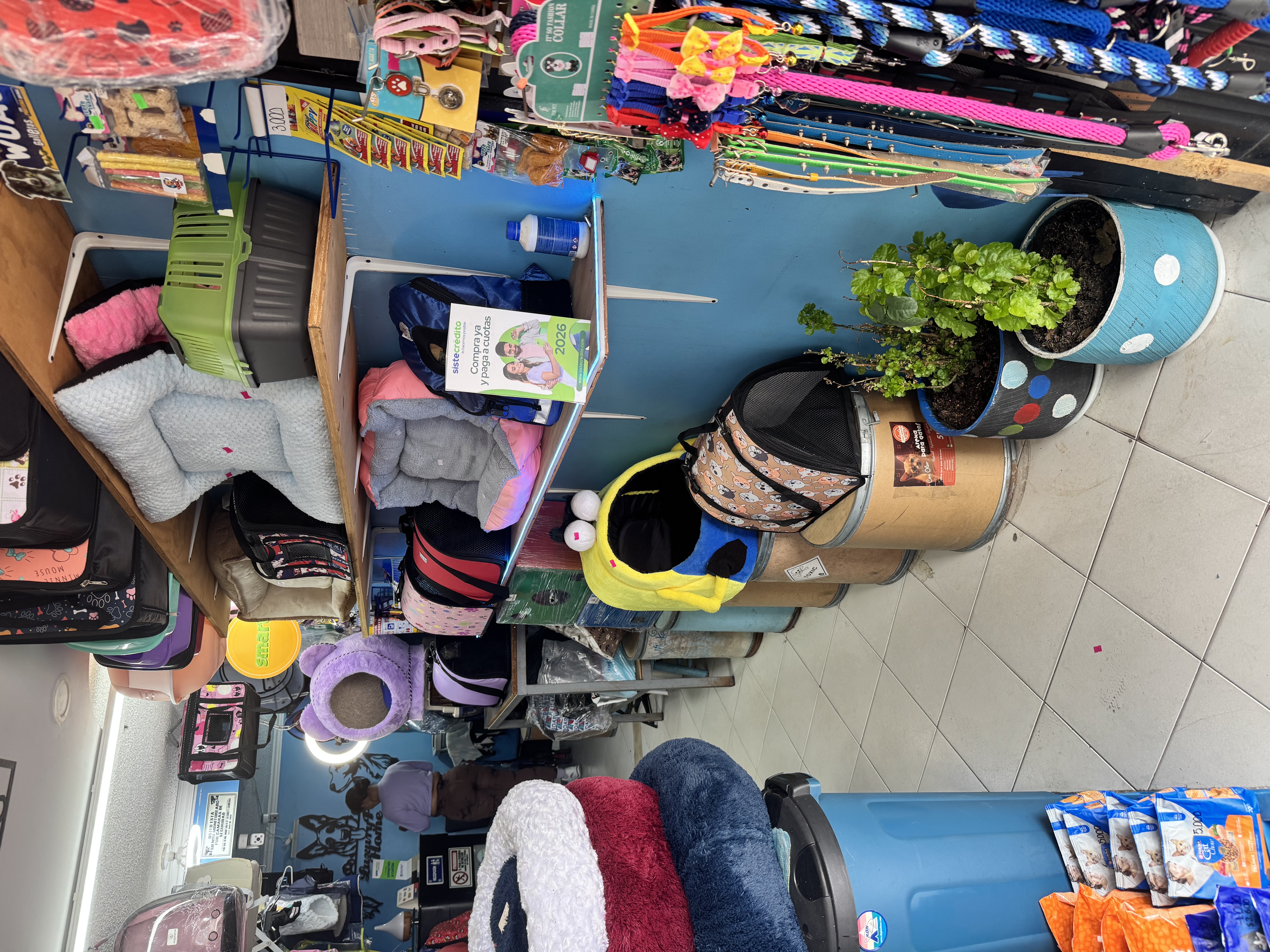 Luxury Pet Home – foto 2