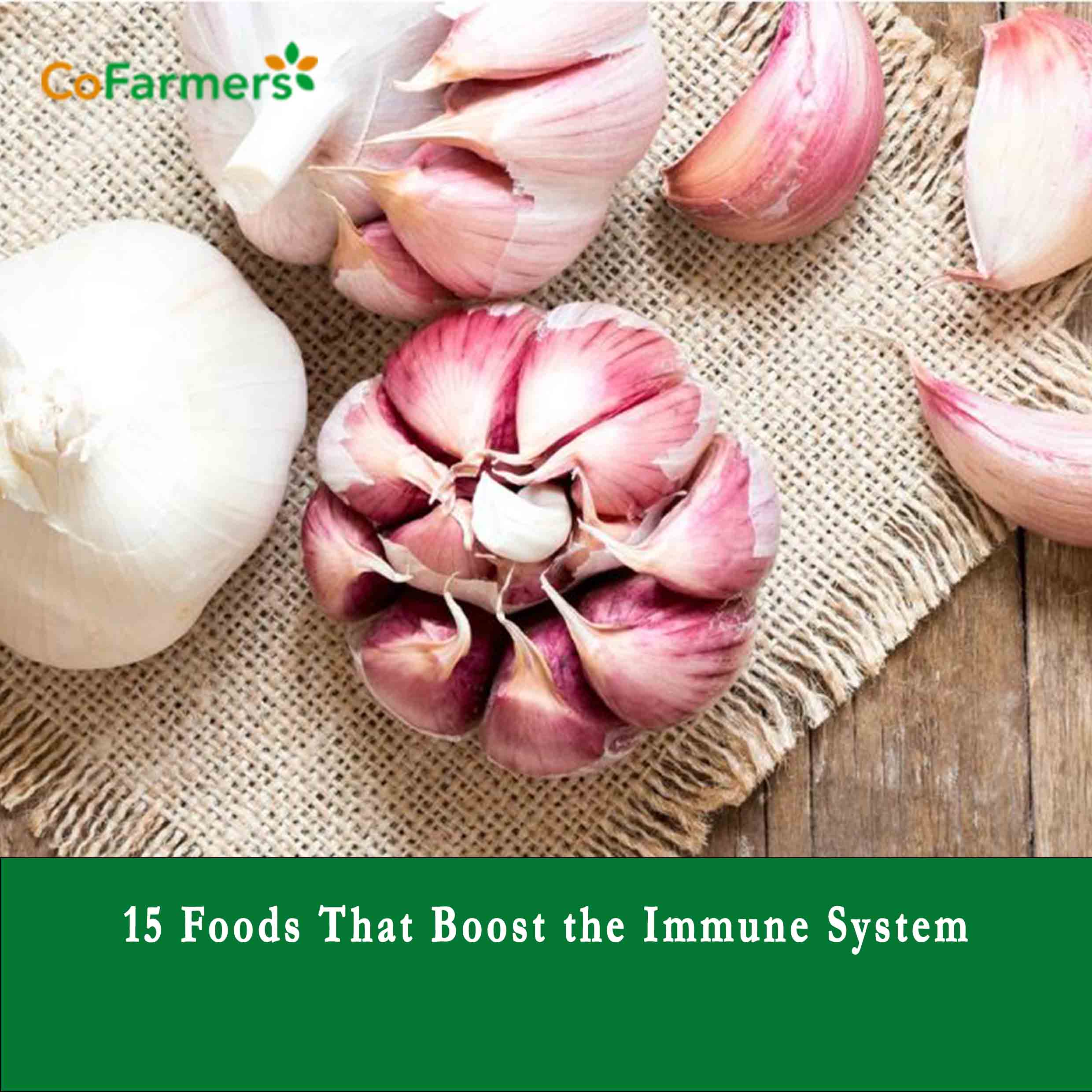 15 Foods That Boost the Immune System
