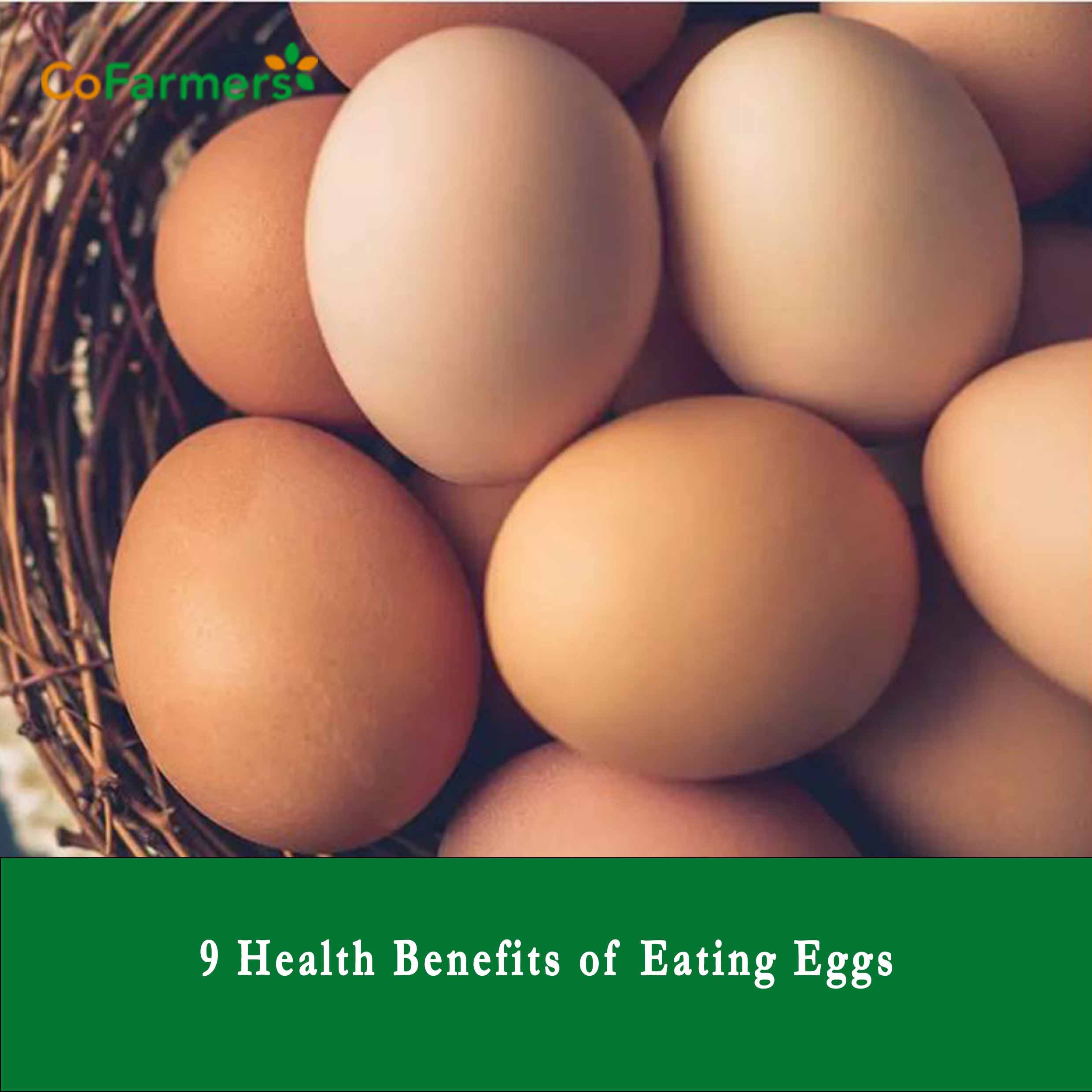 9 Health Benefits of Eating Eggs
