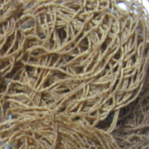 Barnyard Noodles Barnyard Noodles