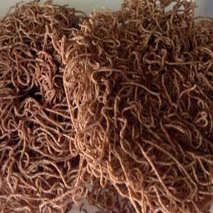 Finger Millet Noodles