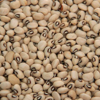 Lobia white Lobia white