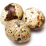 quail egg