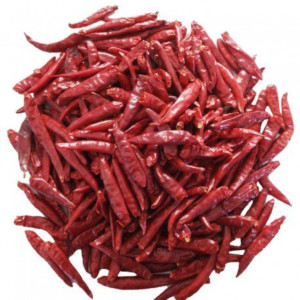 Dry Red Chili Dry Red Chili