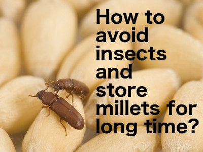 How to store millets for long time?