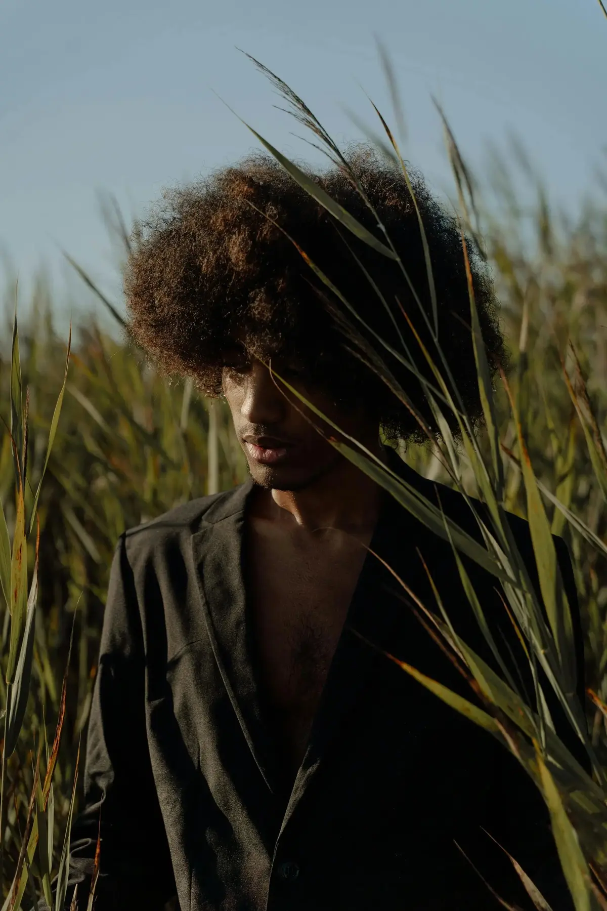 Ebony Reed Blazer product image