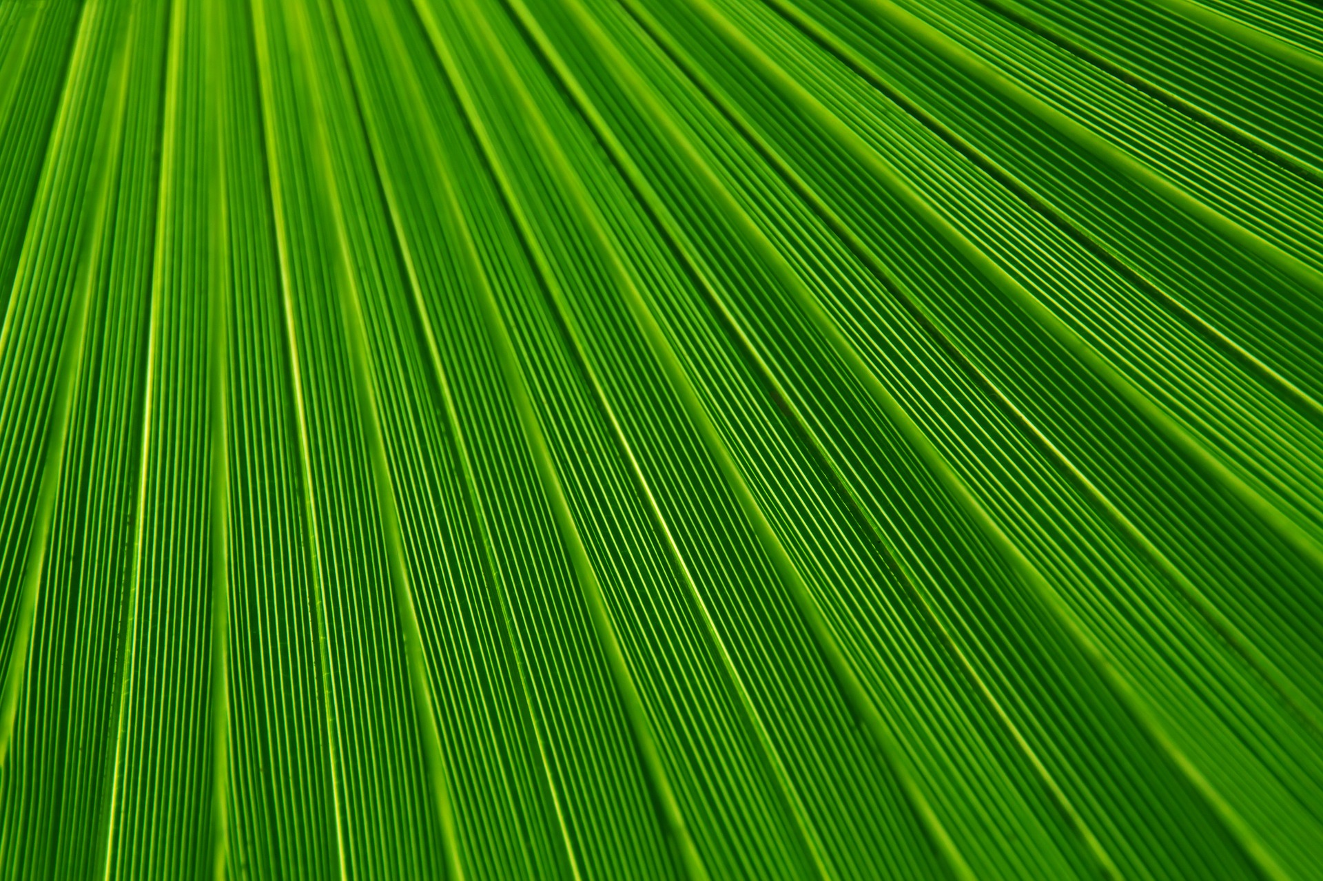1638829053390-abstract-21851_1920.jpg