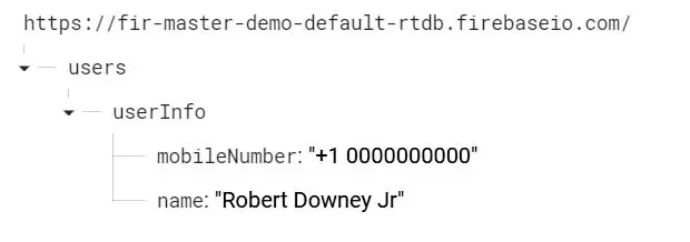 Realtime Database saved JSON Data