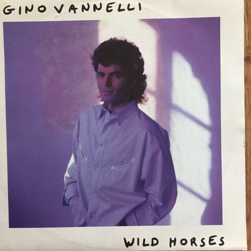 Cover Wild horses