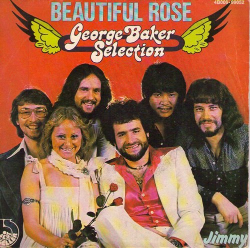 Cover Beautiful rose