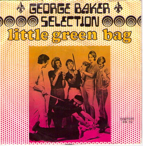 Cover Little green bag