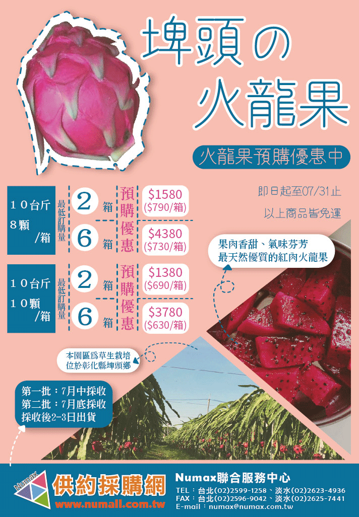 【減重の神果】紅肉火龍果預購優惠中