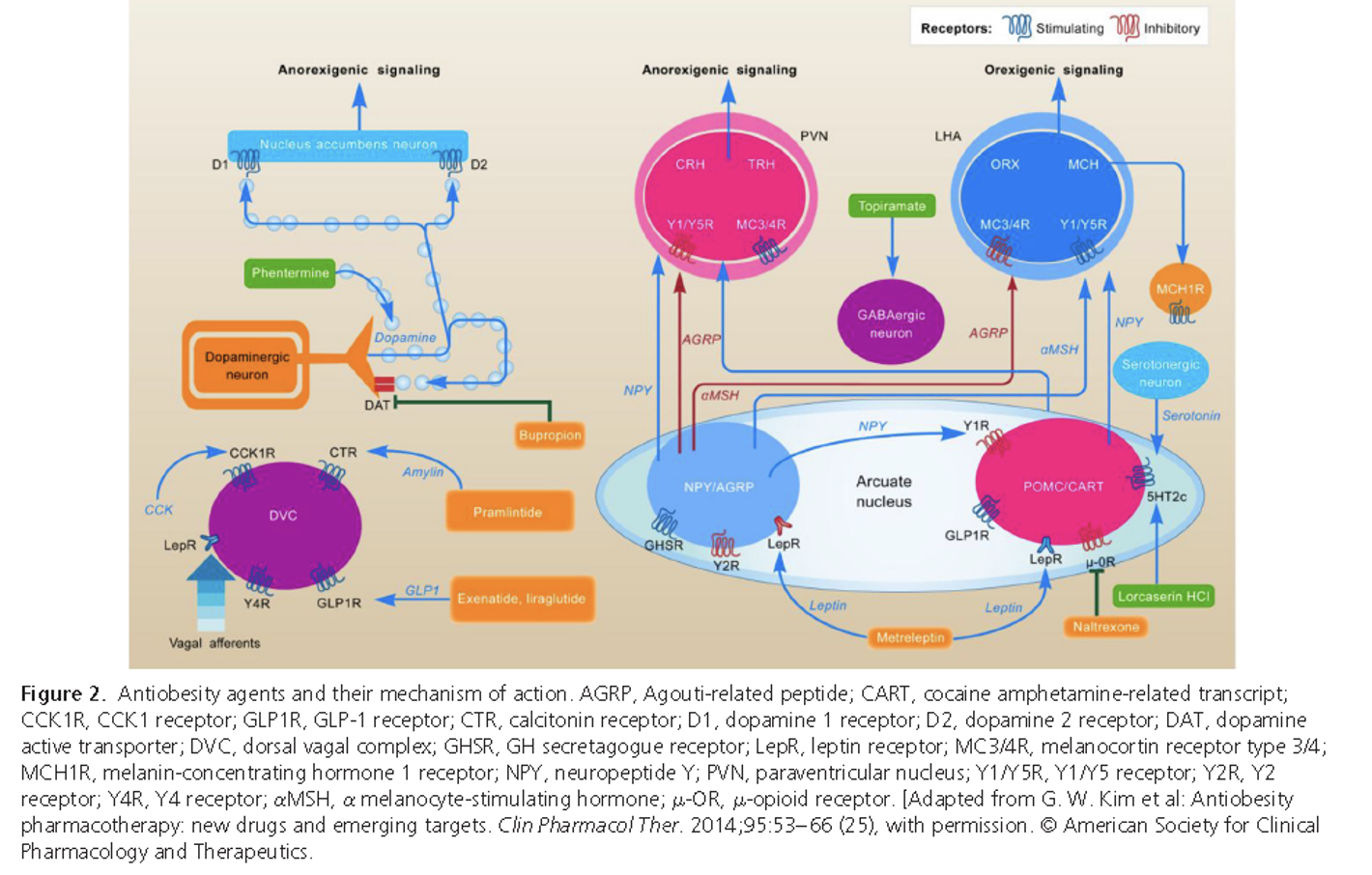 Mechanism of Action