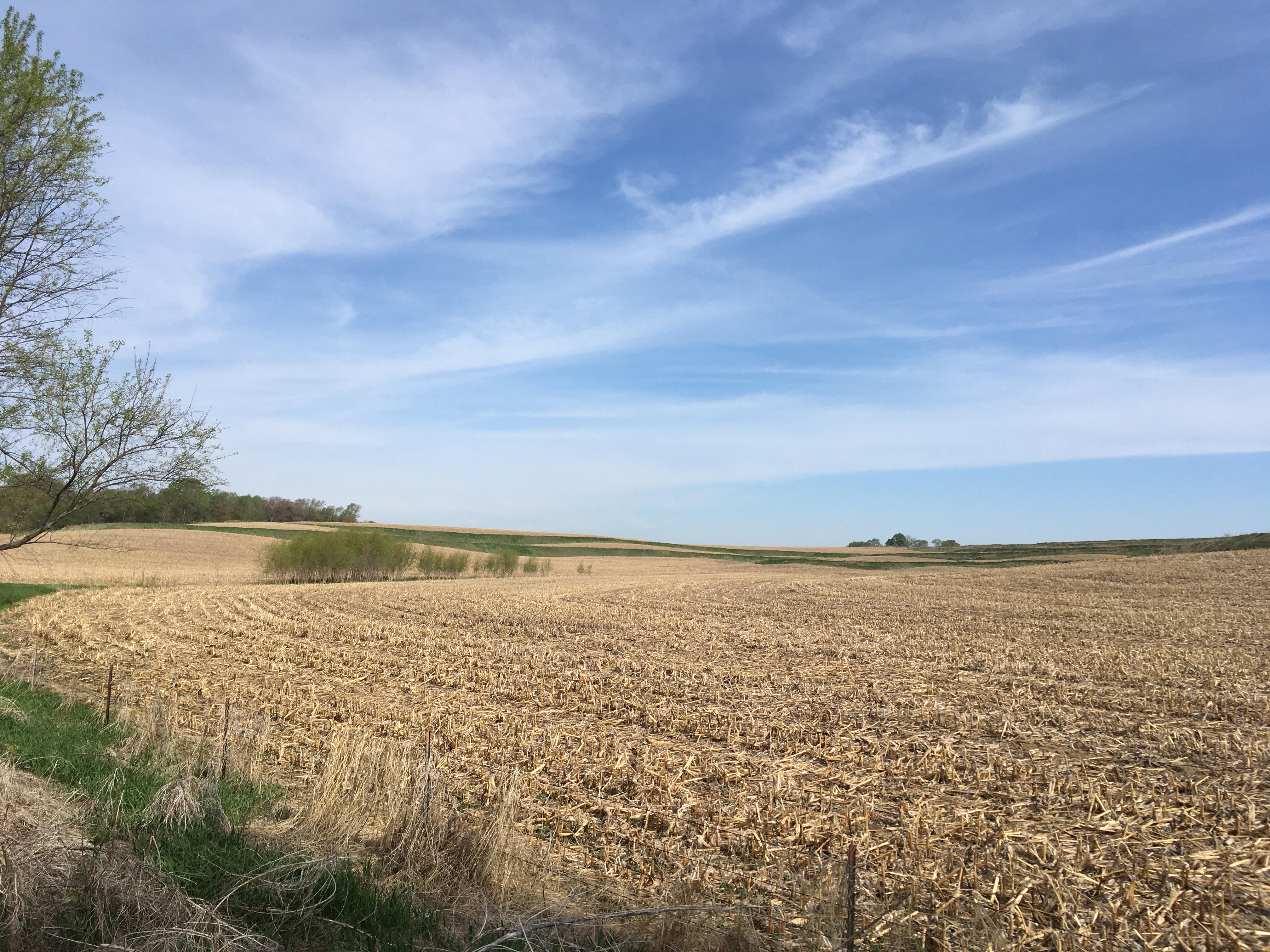 Fields of Southwest Iowa