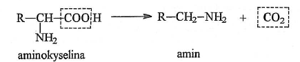 Dekarboxylace